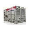 Full Air Cooling NGV Gas Station CNG Refueling System With Motor Direct Driving