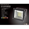 NEW Dimmable LED Floodlight--HNS-FS100W