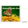 Ultrathin Acrylic Crystal Led Backlit Light Box , A3 Advertising Panel Outdoor