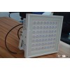 100w 6500k Led Canopy Lighting Super Bright In Factory / Stadium