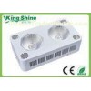 Outdoor Spectra Red Blue Led Grow Lights For Plants And Seedlings