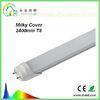 Milky Cover 2400mm LED Tube 36 Watt 130 lm / w UL 2600K - 6500K