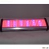 300W the perfect lights for growing Hydroponics plants indoors