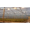 digital ballast for hydroponics lighting