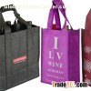 Six Bottles Bag