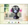 High Power 6 Watt Small Body Infrared Induction Outdoor Solar LED Lights