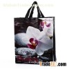 Laminated Polypropylene Bag, Fashion Tote Bag, China PP Non Woven Bag