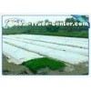 Anti-UV PP Spunbonded Agriculture Non Woven Landscape Fabric Eco-Friendly