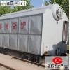 SZL Biomass Fired Steam Boiler