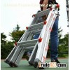 3 In 1 Telescopic Ladder