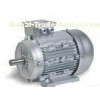 0.37KW 4.9HP 2 Pole IP55 Totally Enclosed Industrial Electric Motors 3000 rpm