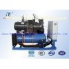 R22 Fusheng Brand Screw Type compressor rack For Walk - in Freezer