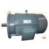 100 Horsepower 600 rpm 10 Pole Totally Enclosed Three Phase Asynchronous Motor