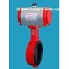 Bray Butterfly Valve Gas Separation Plant Fittings -18 - +100 / -23 - +150 Medium Temp