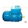 4 Pole 1500 rpm 0.33 HP / 10HP IMB3 Three Phase Asynchronous Motor For Compressors