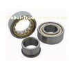 Automotive Cylindrical Roller Bearing Brass Nylon Steel Cage OEM ODM