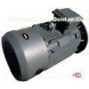 IE1 2 Pole 380V 60HZ CLASS F/B Three Phase Asynchronous Motor With CE / ISO9001
