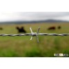 Barbed wire