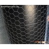 Hexagonal Wire Mesh