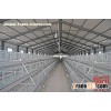 A Frame Semi Automatic Broiler Chicken Cage