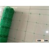Plastic Climbing Plant Support Net