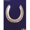 lucky horseshoe