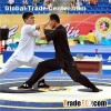 Taichi Pushing Hand