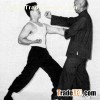 Wingchun Characteristics