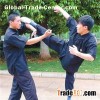 Wingchun Forms