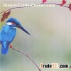 Matte Cotton Inkjet Printing Canvas