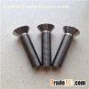 Titanium Countersunk Head Screws