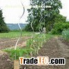 Tomato Spiral Wire