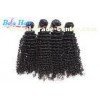 Customized Kinky Curly Grade 7A Virgin Hair Wet And Wavy Hair Extensions