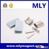 Sintered Rare Earth Neodymium Segment Precision DC Motor Magnet