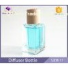 Car / Home Transparent 30ml Glass Diffuser Bottles With Wood Cap
