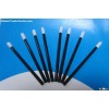 lip gloss brush