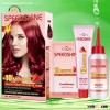 10 Minutes Colorful Hair Dye with 3.00 Dark Brown