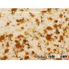 Quartz stone quartz surface quartz countertops quartz slabs MC9003