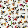 Wholesale Water Transfer Printing Film -Mickey Mouse GY304