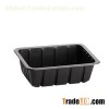 Blister Tray