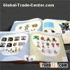 Brochure Saddle Stitching Binding Printing