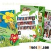 Children Books Perfect Binding Printing