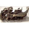 Gadolinium Metal