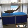 Laminated Meeting Glass Table
