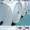 Two Side White Coated Duplex Paper Board White Back Roll Packaging
