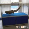 Tempered Glass Showcase