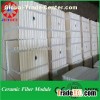 HP ceramic Fiber Module With Anchor System JC Module