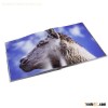 china high quality hardcover book printing services