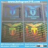 Design hologram sticker with serial number