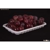 plastic food tray fruit packaging
